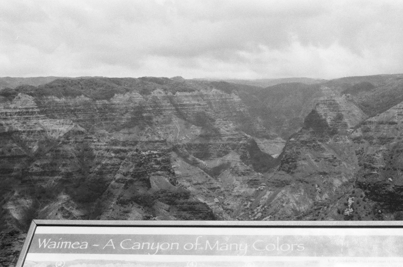 An ironic sign for my BW film