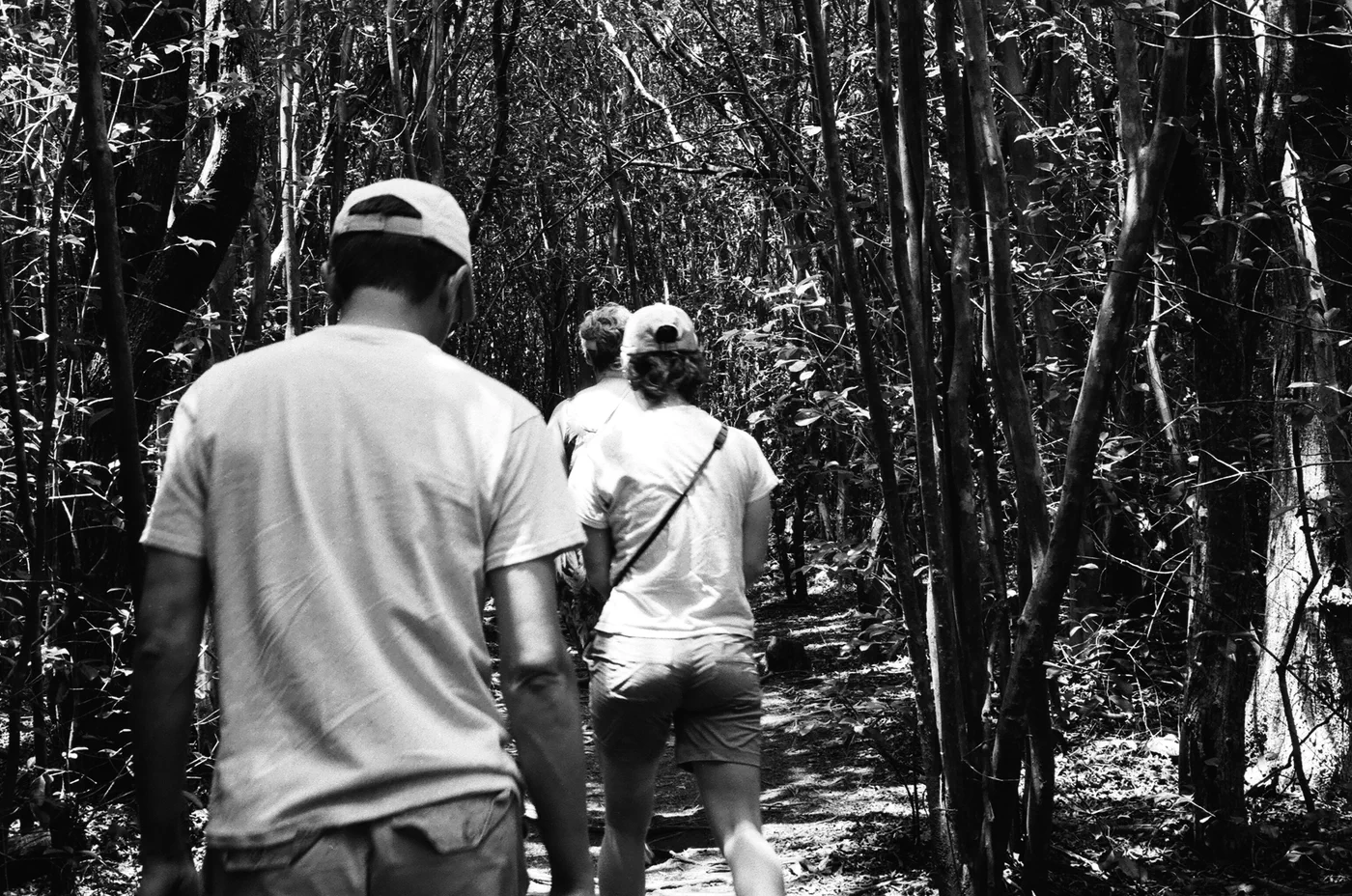Entering 'Forest' by Franz Kline, or Pollock or somebody